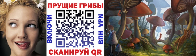 купить   Нея  Псилоцибиновые грибы MAGIC MUSHROOMS 